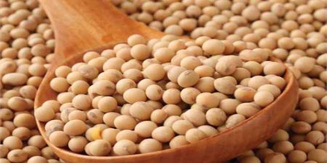 آیا-سویا-سرطان-زاست؟