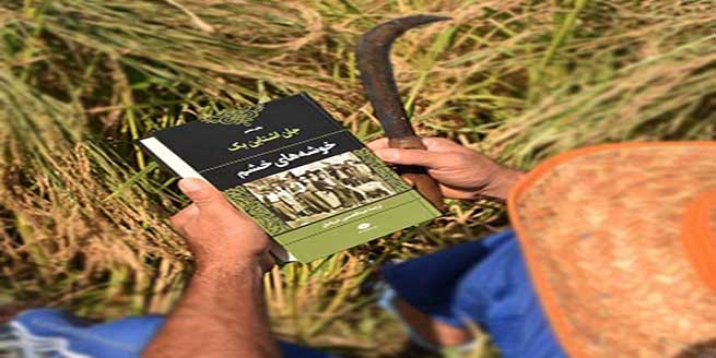 کتاب-خوشه‌های-خشم-اثر-جان-اشتاین‌بک-و-خلاصه-آن